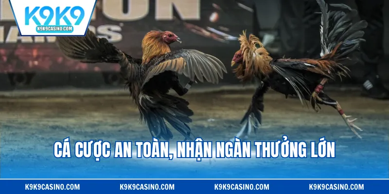 Cá cược an toàn, nhận ngàn thưởng lớn